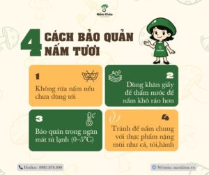 bảo quản nấm tươi